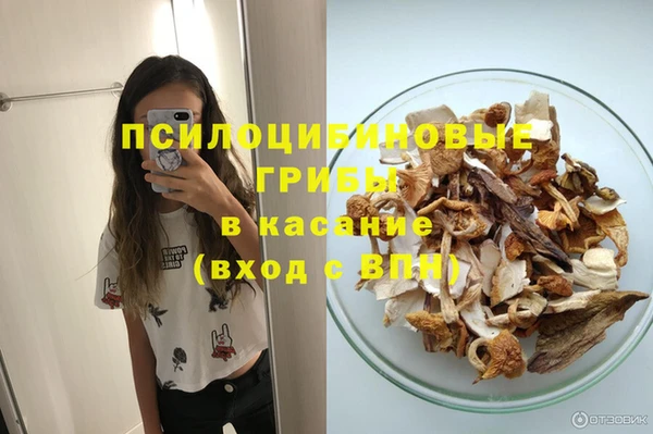 гидра Алзамай