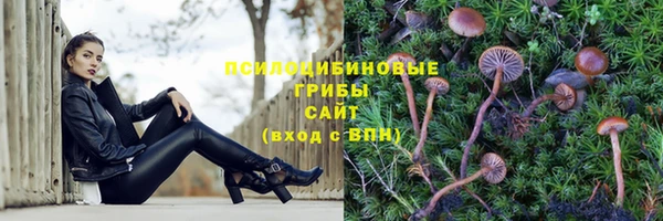 гидра Алзамай