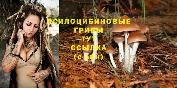 Альфа ПВП Алексин