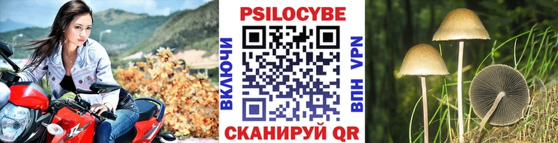 Псилоцибиновые грибы GOLDEN TEACHER  купить наркотик  Чайковский 